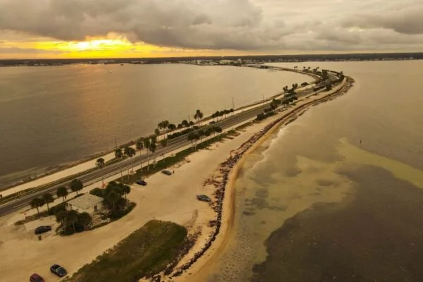a beach with a body of water and a group of people