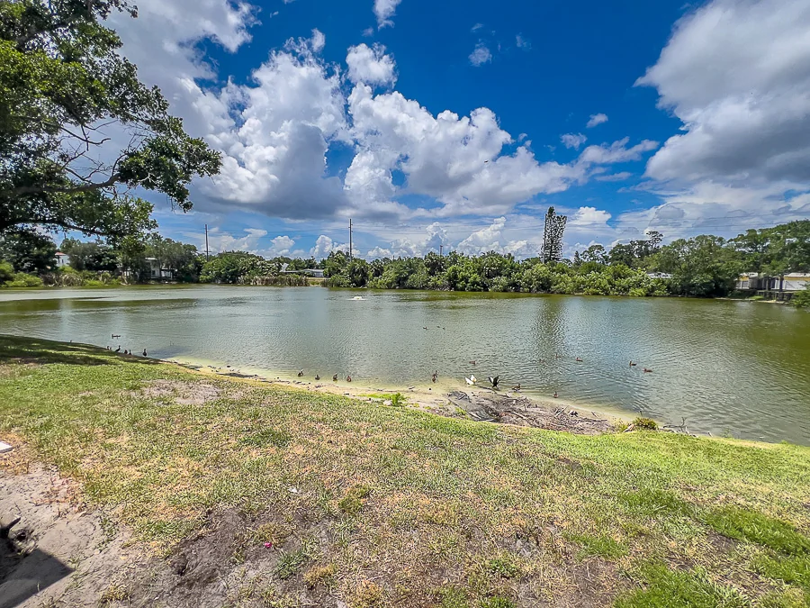 Real estate photography — 3315 West Wyoming Circle, Tampa, Florida, 33611 | 4D Productions