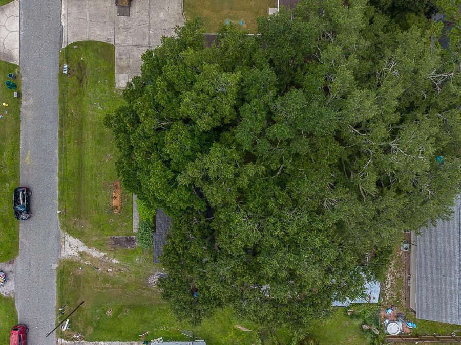 Real estate photography — 2773 Belle Haven Drive, Clearwater, Florida, 33763 | 4D Productions