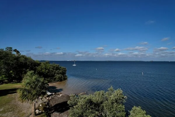 a body of water surrounded by trees and a beach