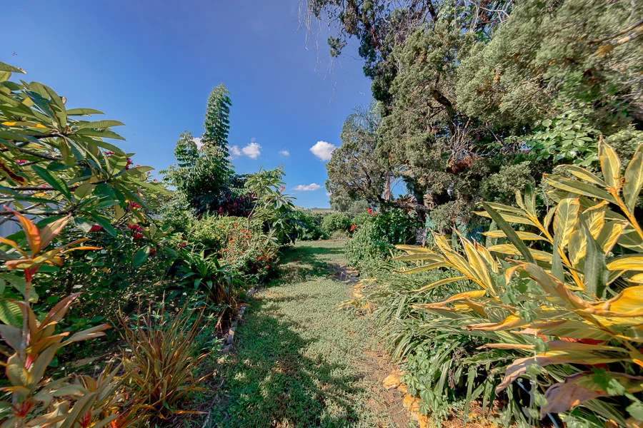 Real estate photography — 196 Overbrook Drive, Largo, Florida, 33770 | 4D Productions