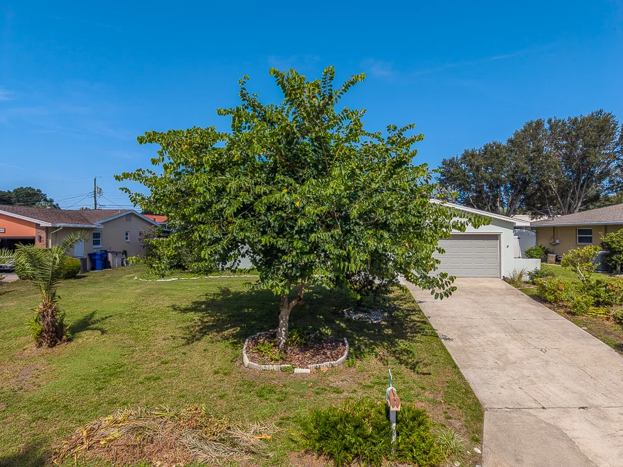 Real estate photography — 196 Overbrook Drive, Largo, Florida, 33770 | 4D Productions