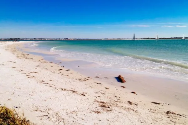 brown sand beach during daytime