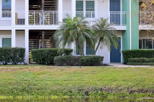 a couple of palm trees sitting in front of a building