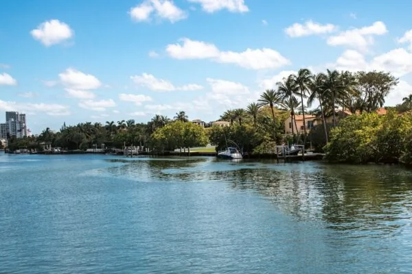 A body of water surrounded by trees and buildings