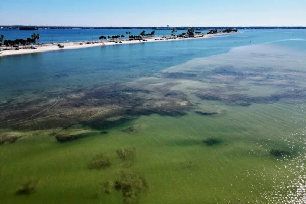 a body of water with a beach in the background